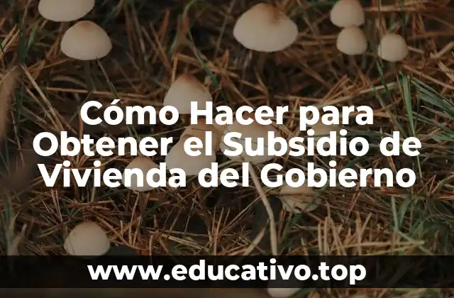 Cómo Hacer para Obtener el Subsidio de Vivienda del Gobierno