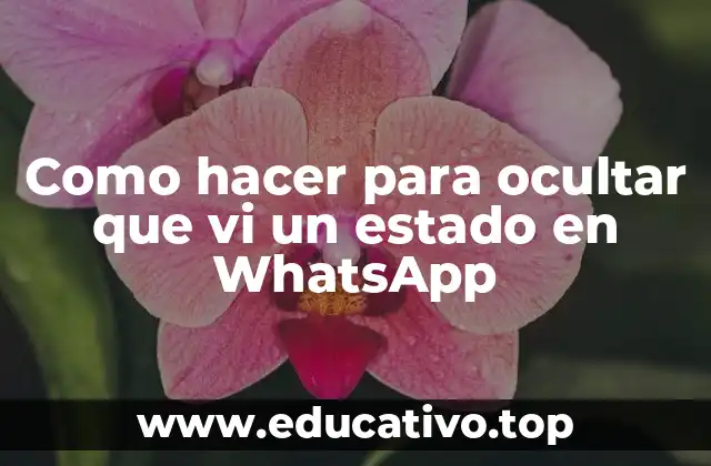 Como hacer para ocultar que vi un estado en WhatsApp