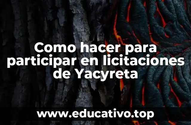 Como hacer para participar en licitaciones de Yacyreta