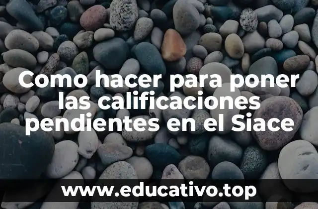 Como hacer para poner las calificaciones pendientes en el Siace