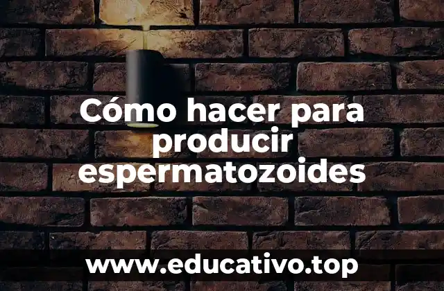 Cómo hacer para producir espermatozoides