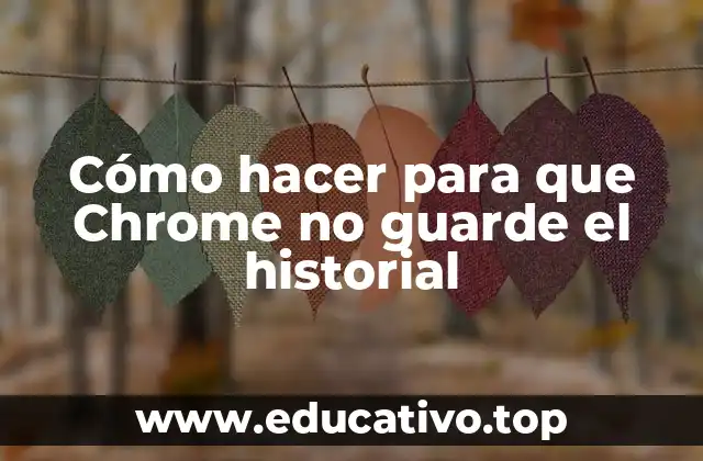 Cómo hacer para que Chrome no guarde el historial