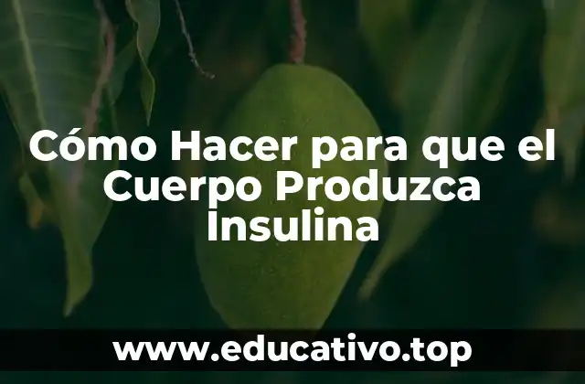 Cómo Hacer para que el Cuerpo Produzca Insulina