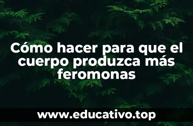 Cómo hacer para que el cuerpo produzca más feromonas
