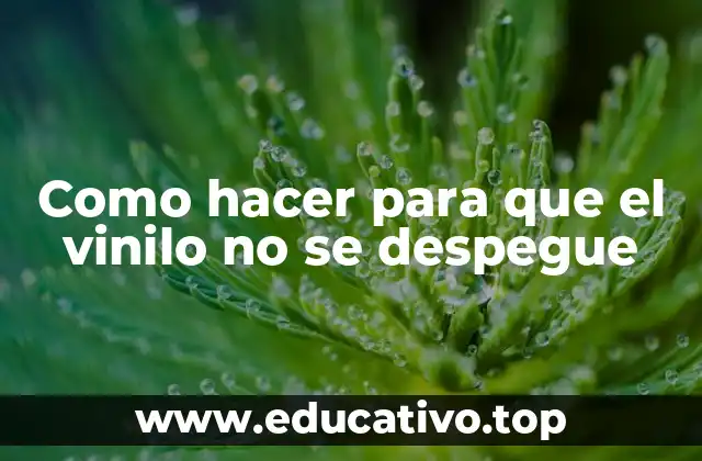 Como hacer para que el vinilo no se despegue