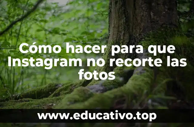 Cómo hacer para que Instagram no recorte las fotos