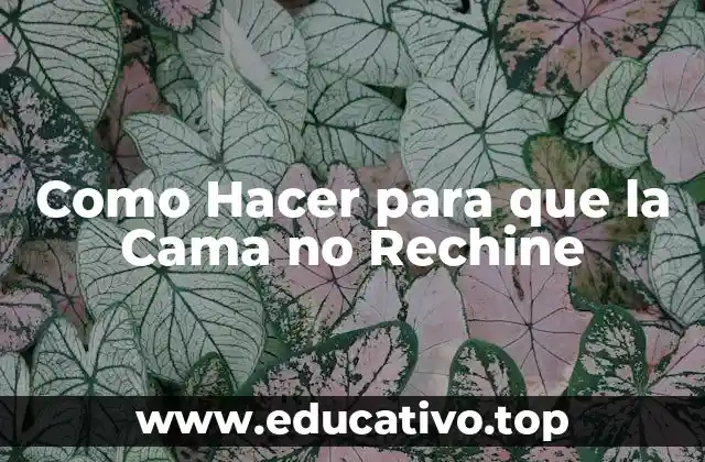 Como Hacer para que la Cama no Rechine