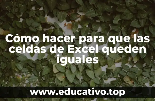Cómo hacer para que las celdas de Excel queden iguales
