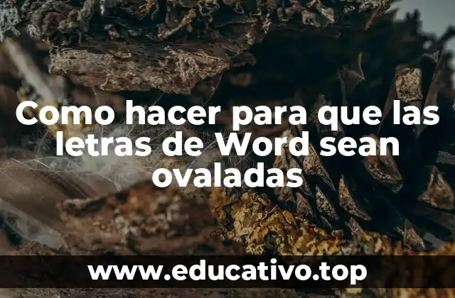 Como hacer para que las letras de Word sean ovaladas