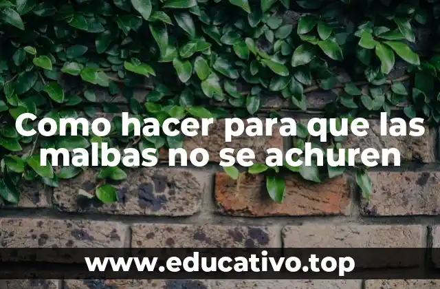 Como hacer para que las malbas no se achuren