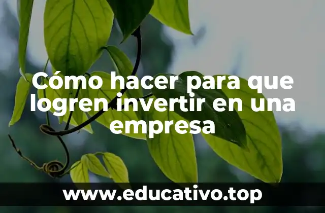 Cómo hacer para que logren invertir en una empresa