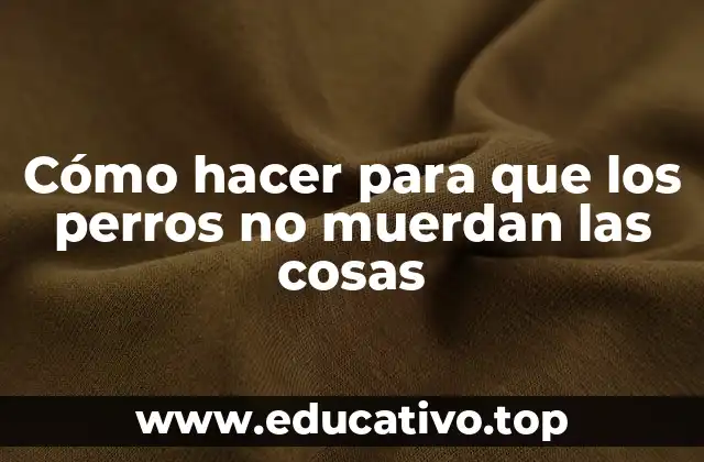 Cómo hacer para que los perros no muerdan las cosas