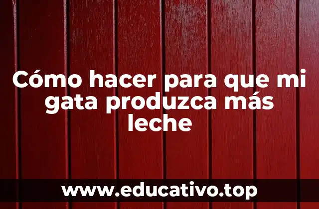 Cómo hacer para que mi gata produzca más leche