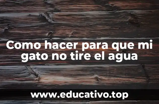 Como hacer para que mi gato no tire el agua