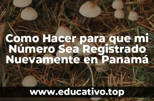 Como Hacer para que mi Número Sea Registrado Nuevamente en Panamá