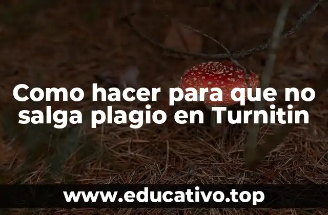 Como hacer para que no salga plagio en Turnitin
