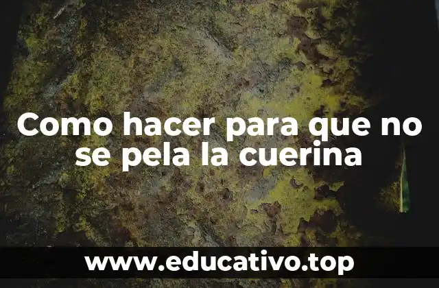 Como hacer para que no se pela la cuerina