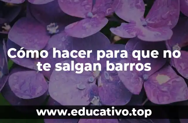 Cómo hacer para que no te salgan barros