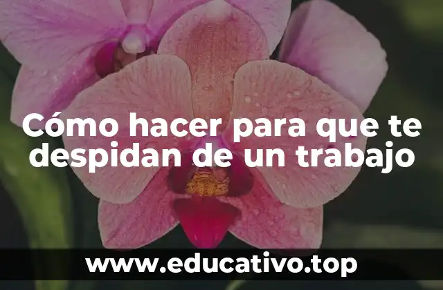 Cómo hacer para que te despidan de un trabajo