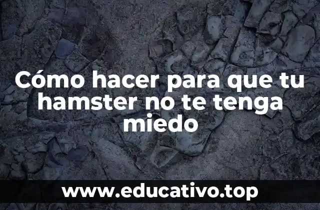 Cómo hacer para que tu hamster no te tenga miedo