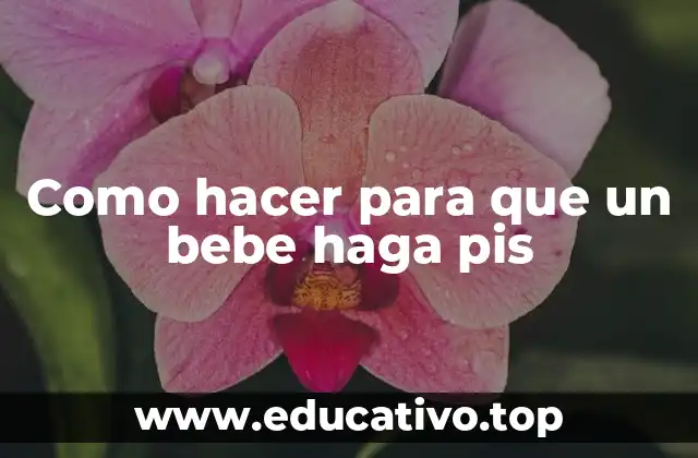 Como hacer para que un bebe haga pis