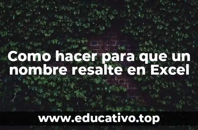 Como hacer para que un nombre resalte en Excel