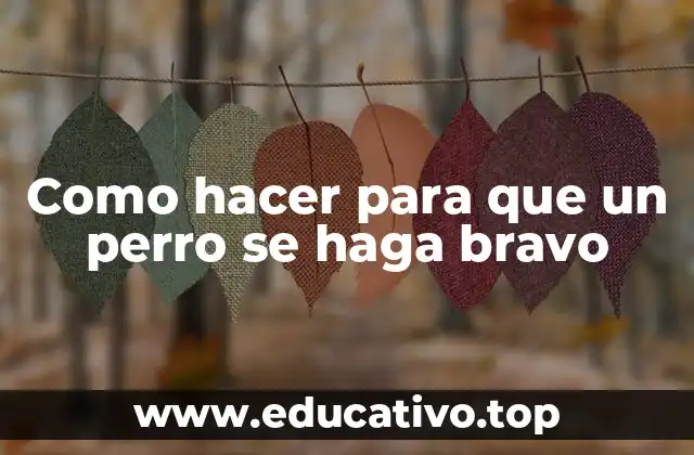 Como hacer para que un perro se haga bravo