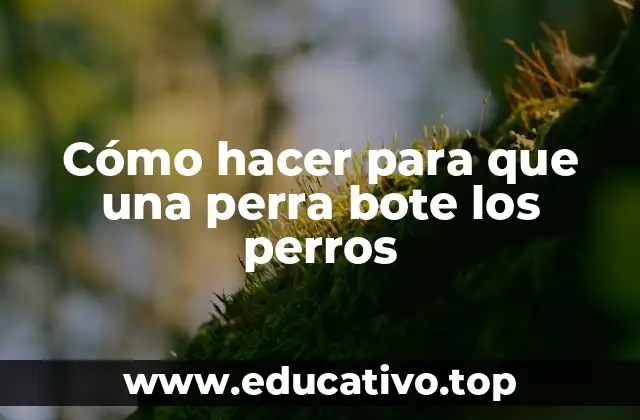 Cómo hacer para que una perra bote los perros