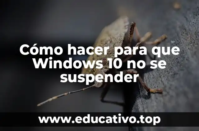 Cómo hacer para que Windows 10 no se suspender