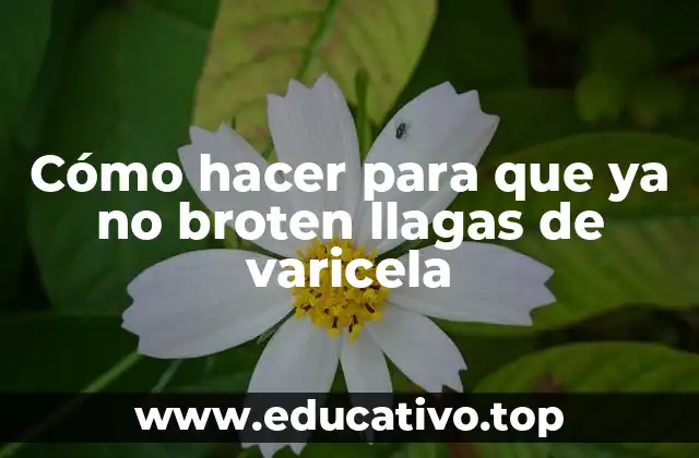 Cómo hacer para que ya no broten llagas de varicela