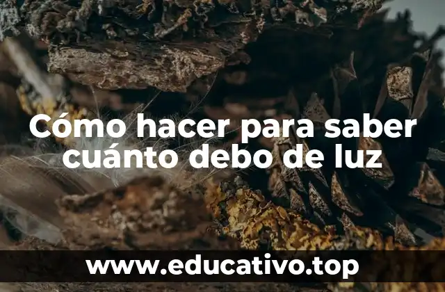 Cómo hacer para saber cuánto debo de luz