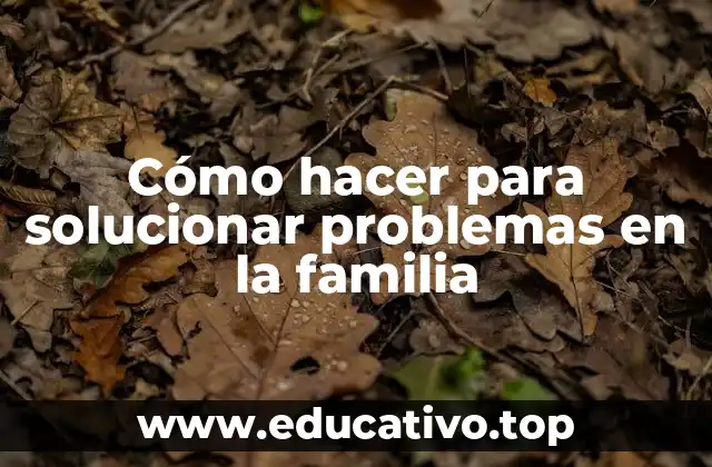 Cómo hacer para solucionar problemas en la familia