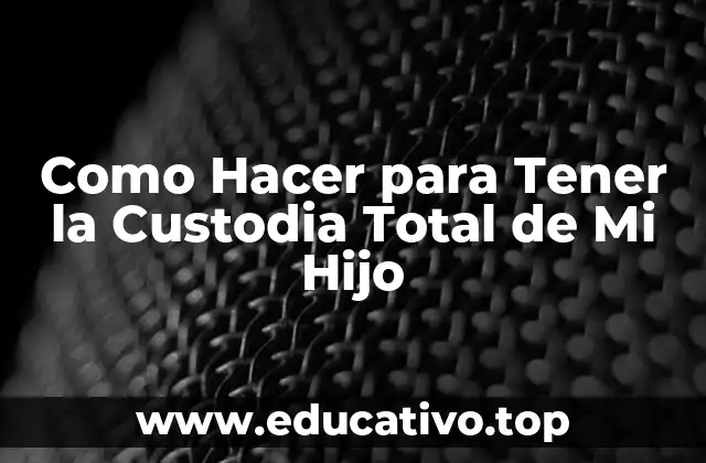 Como Hacer para Tener la Custodia Total de Mi Hijo