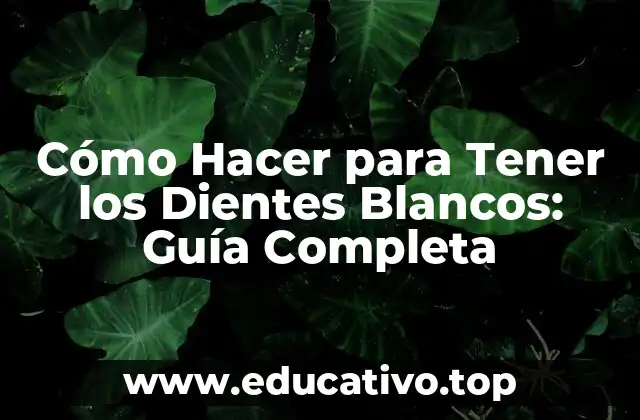 Cómo Hacer para Tener los Dientes Blancos: Guía Completa