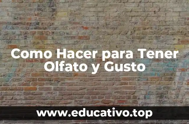 Como Hacer para Tener Olfato y Gusto
