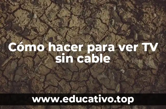 Cómo hacer para ver TV sin cable