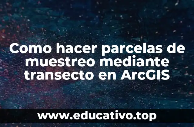 Como hacer parcelas de muestreo mediante transecto en ArcGIS