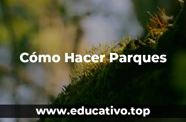 Cómo Hacer Parques