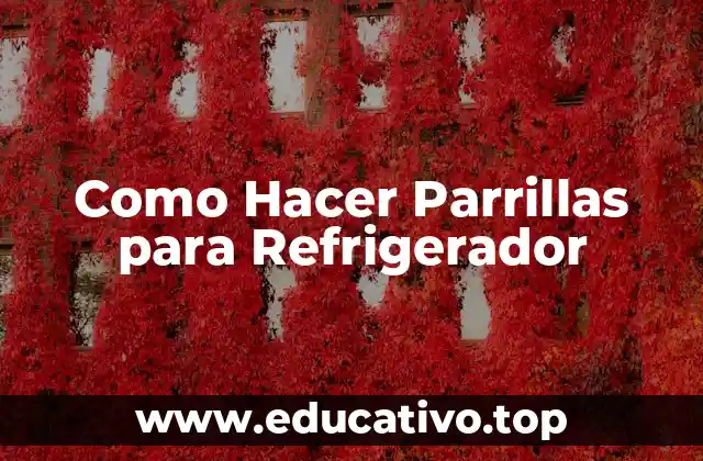 Como Hacer Parrillas para Refrigerador