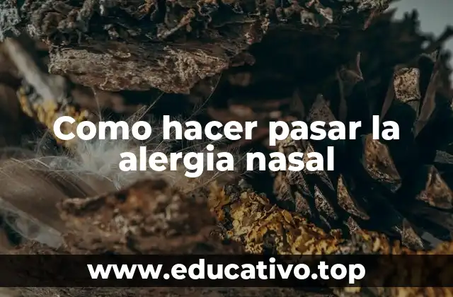 Como hacer pasar la alergia nasal