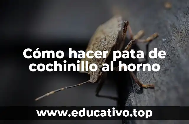 Cómo hacer pata de cochinillo al horno
