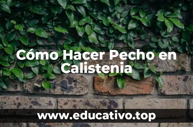 Cómo Hacer Pecho en Calistenia