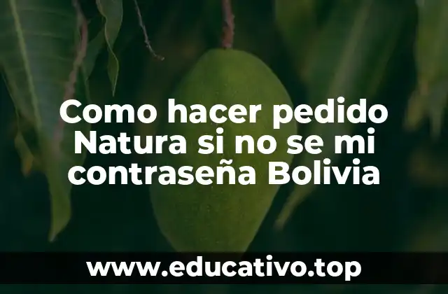 Como hacer pedido Natura si no se mi contraseña Bolivia