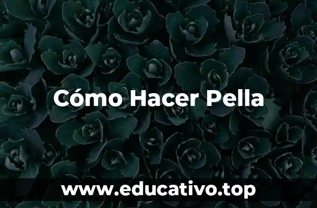 Cómo Hacer Pella