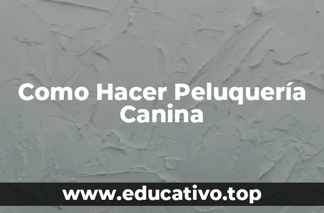 Como Hacer Peluquería Canina