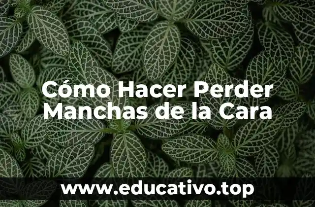 Cómo Hacer Perder Manchas de la Cara