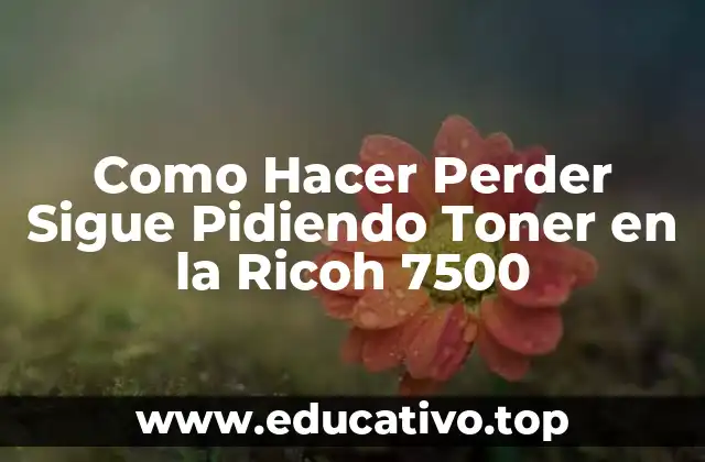 Como Hacer Perder Sigue Pidiendo Toner en la Ricoh 7500