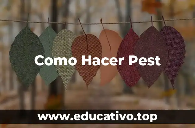 Como Hacer Pest
