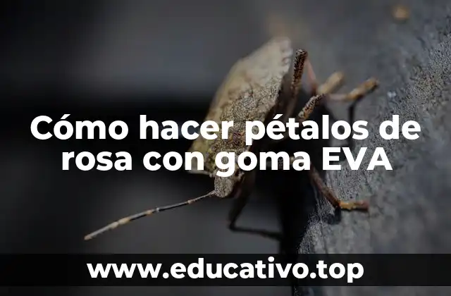 Cómo hacer pétalos de rosa con goma EVA