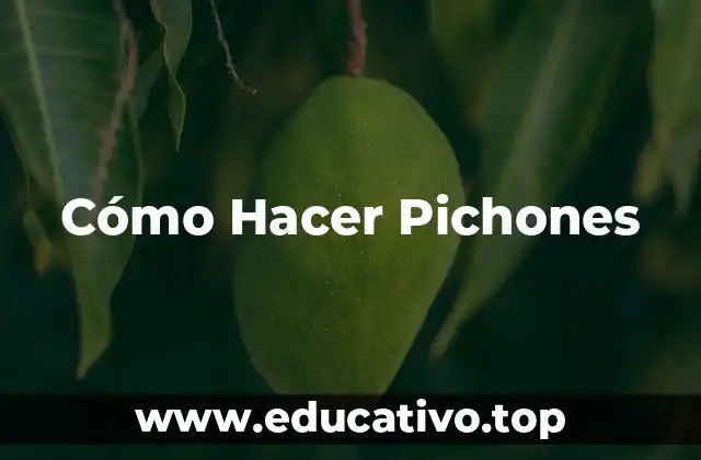 Cómo Hacer Pichones